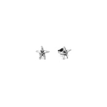 Load image into Gallery viewer, Giovanni Raspini Earrings in 925 Silver Starfish Mini 07996
